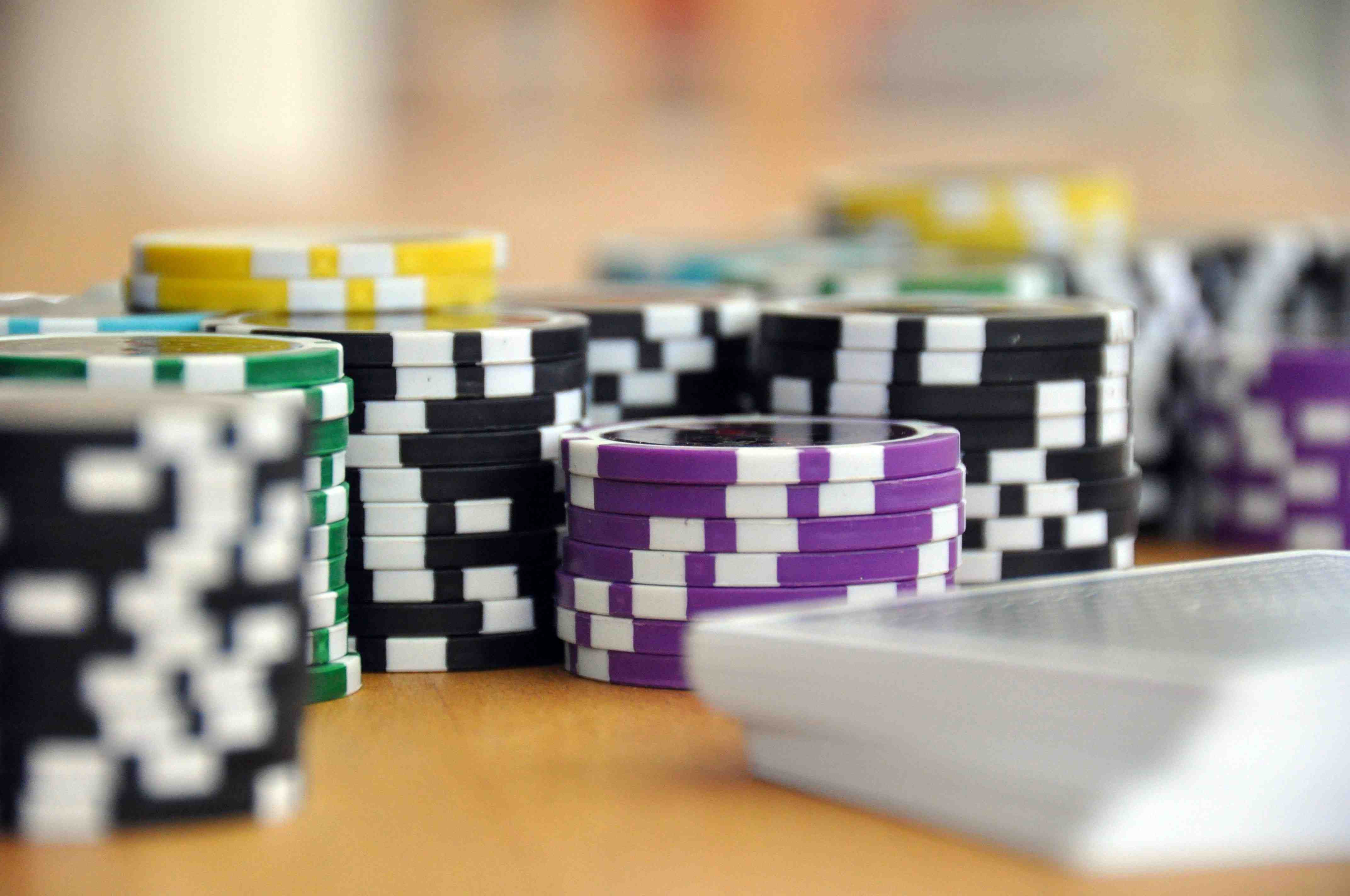 8mbets net